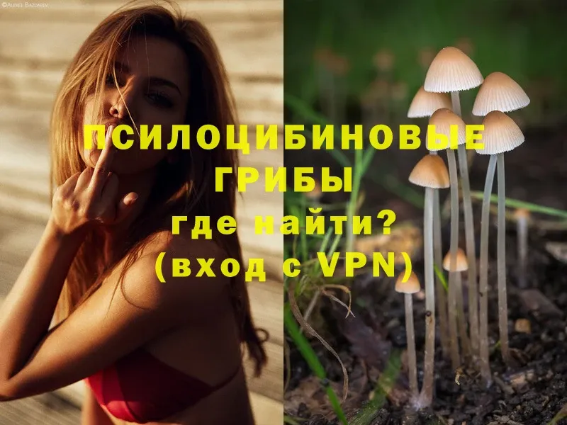 Галлюциногенные грибы MAGIC MUSHROOMS Чадан